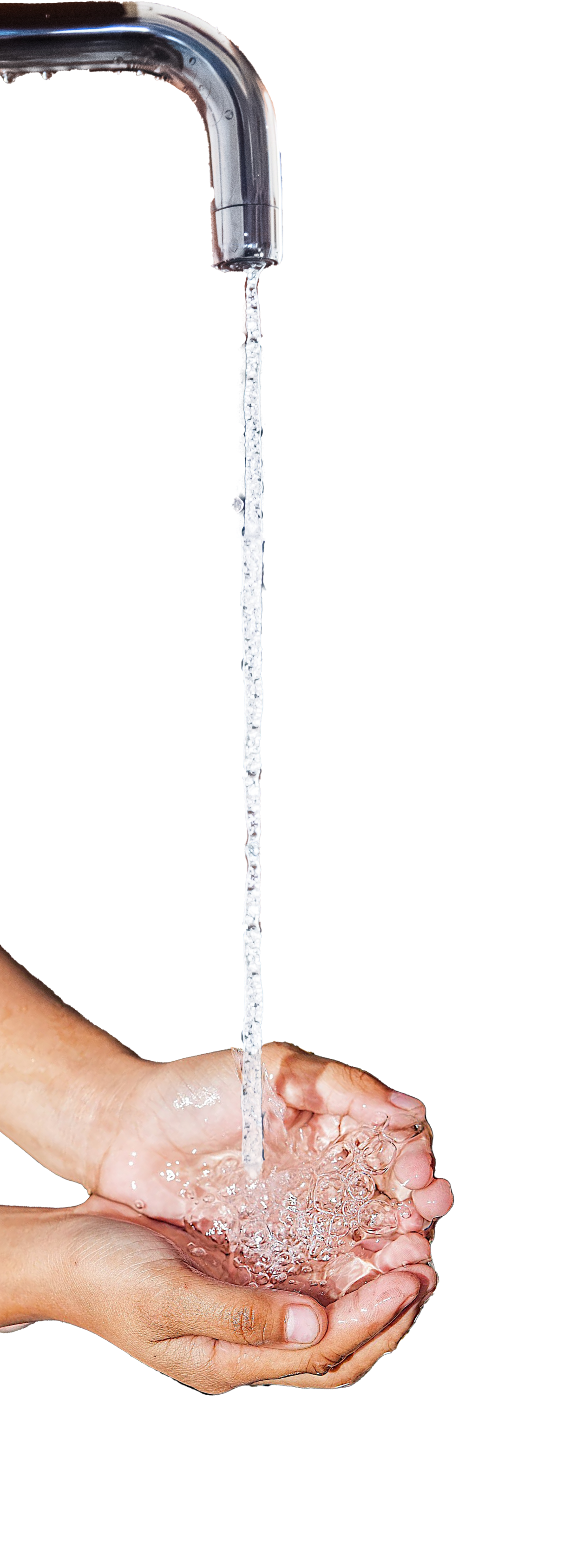 hands catching water from running faucet